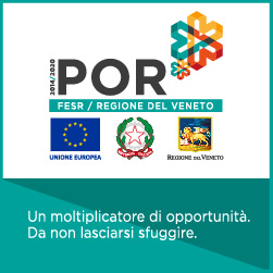 <p>Reti Innovative Regionali</p>
